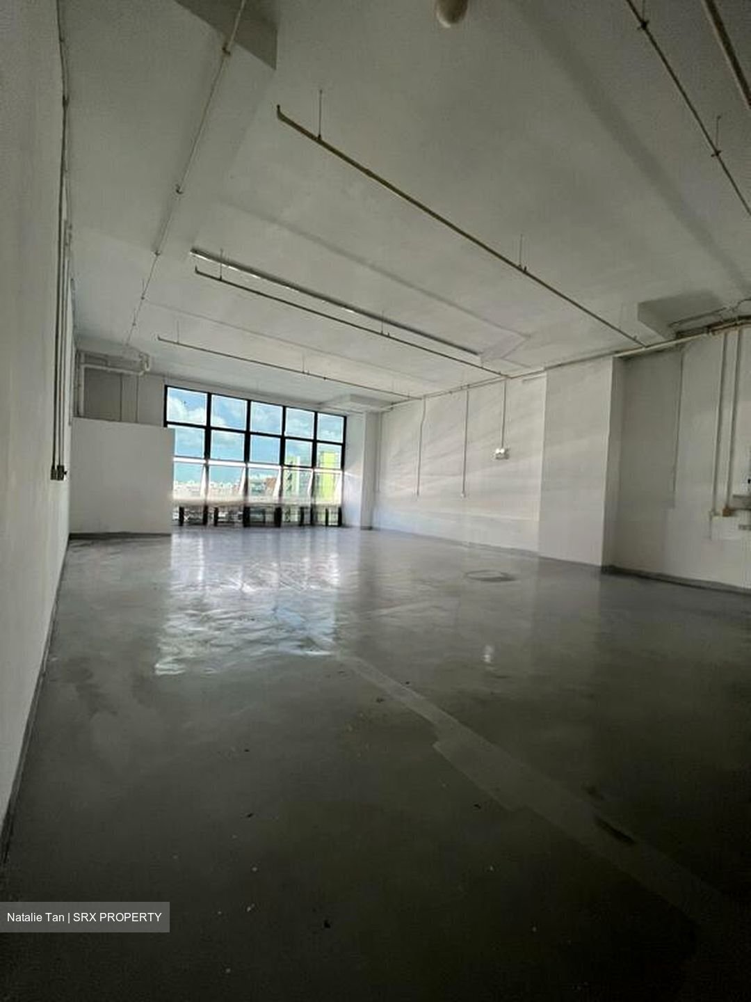 Win 5 (D27), Factory #460047211